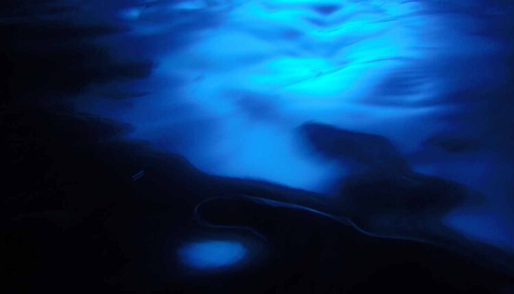 Quais as zonas de uma planície abissal, seus perigos e características?