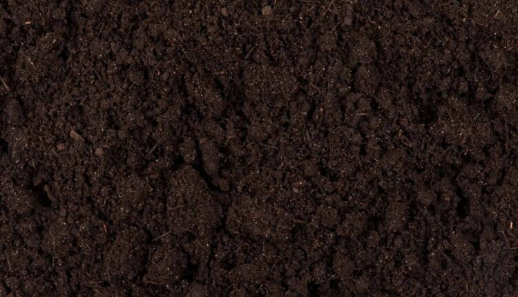 O que é a sondagem do solo e como é usada no petróleo?