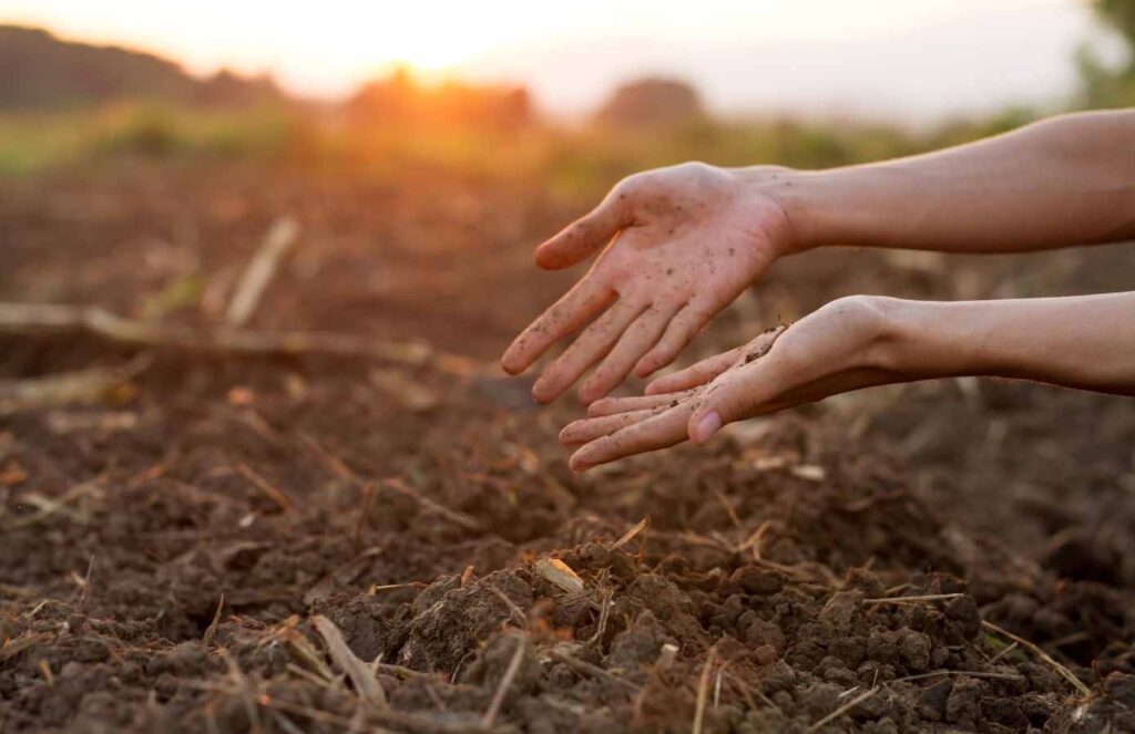 O que é sondagem de solo?