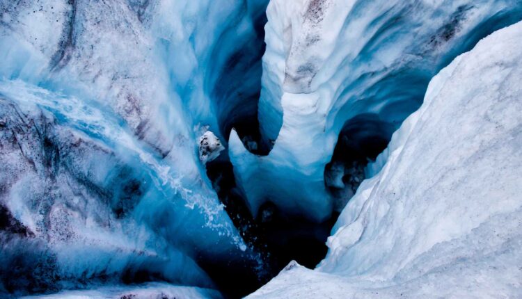 O que é zona abissal e quais os habitantes dela
