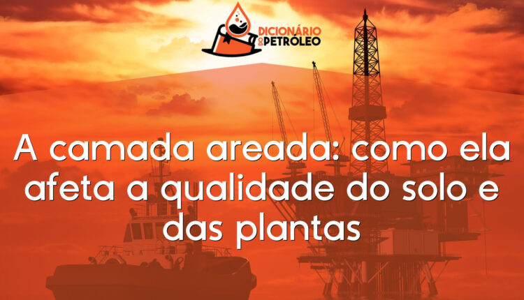 A camada areada: como ela afeta a qualidade do solo e das plantas