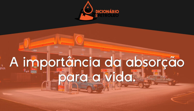 A importância da absorção para a vida.