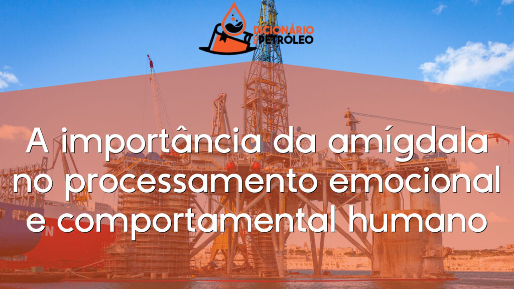 A importância da amígdala no processamento emocional e comportamental humano