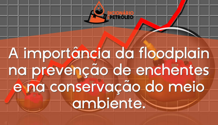 A importância da floodplain na prevenção de enchentes e na conservação do meio ambiente.