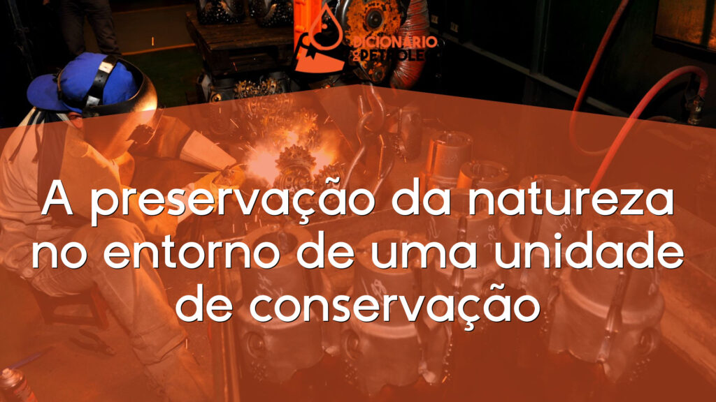 A preservação da natureza no entorno de uma unidade de conservação