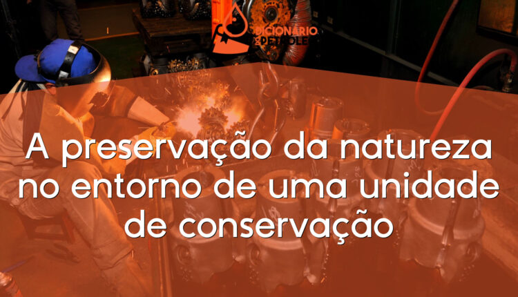 A preservação da natureza no entorno de uma unidade de conservação