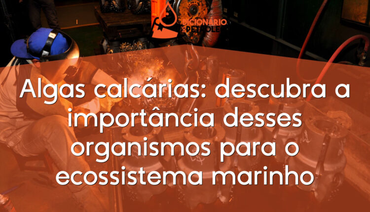 Algas calcárias: descubra a importância desses organismos para o ecossistema marinho