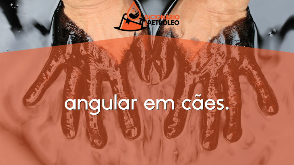 angular em cães.