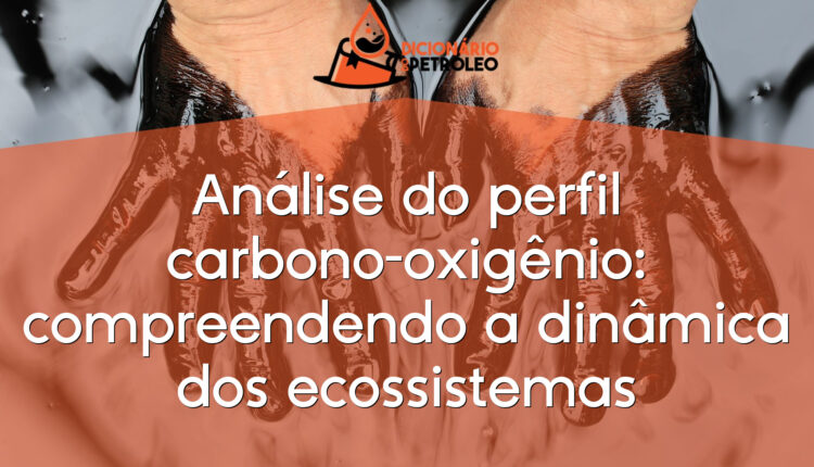 Análise do perfil carbono-oxigênio: compreendendo a dinâmica dos ecossistemas