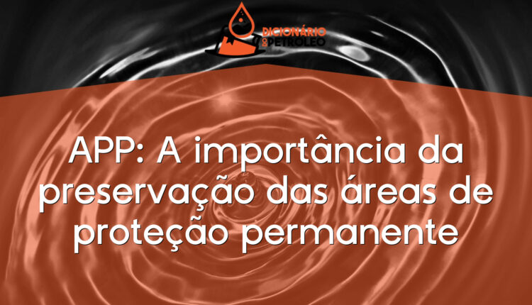 APP: A importância da preservação das áreas de proteção permanente