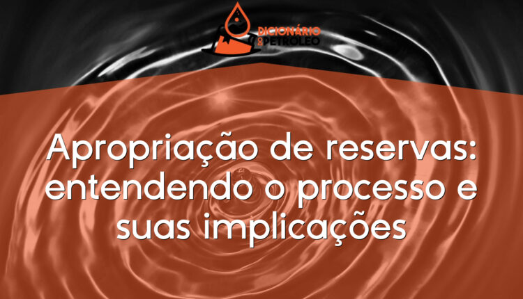 Apropriação de reservas: entendendo o processo e suas implicações