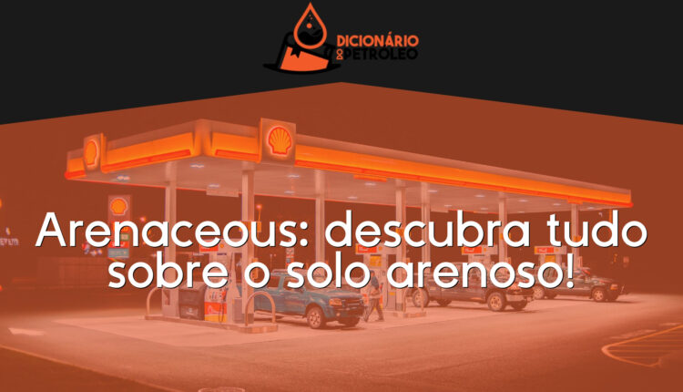 Arenaceous: descubra tudo sobre o solo arenoso!