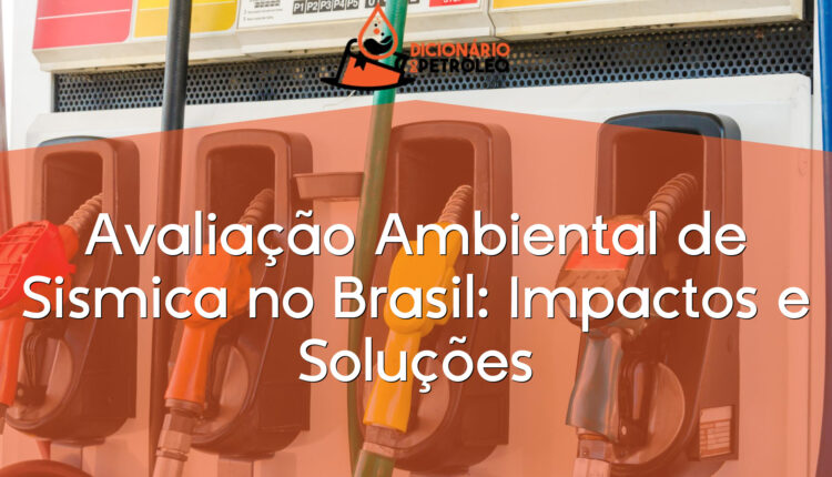 Avaliação Ambiental de Sismica no Brasil: Impactos e Soluções