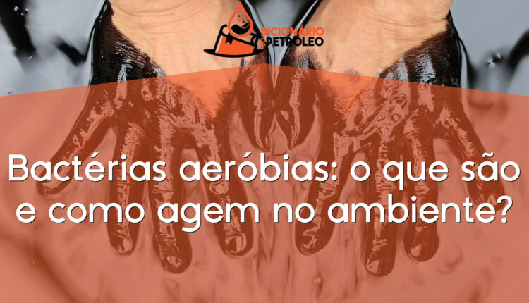 Bactérias aeróbias: o que são e como agem no ambiente?