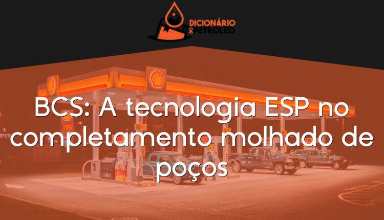BCS: A tecnologia ESP no completamento molhado de poços