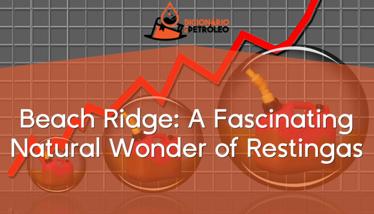 Beach Ridge: A Fascinating Natural Wonder of Restingas