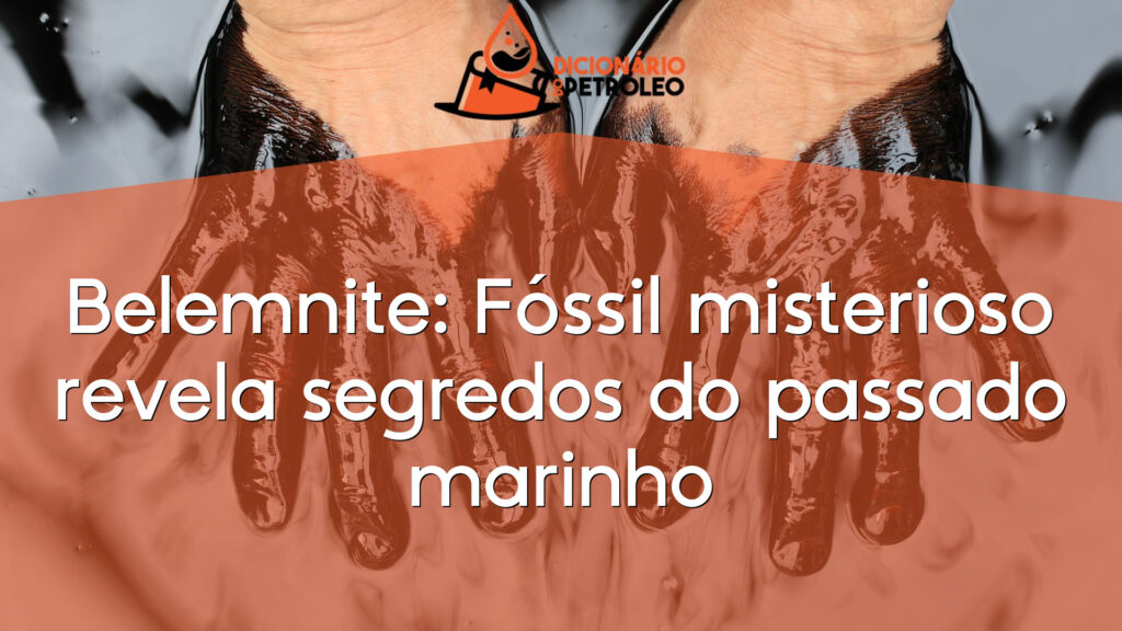 Belemnite: Fóssil misterioso revela segredos do passado marinho