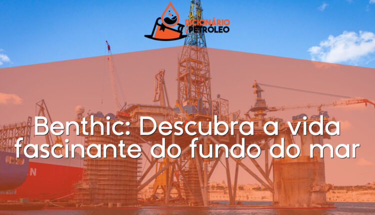 Benthic: Descubra a vida fascinante do fundo do mar