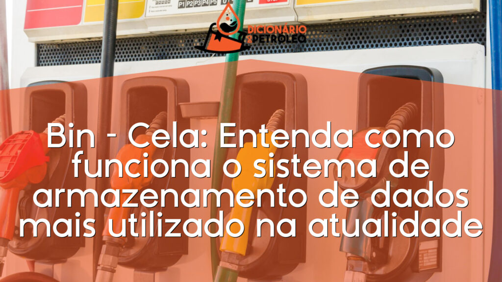 Bin – Cela: Entenda como funciona o sistema de armazenamento de dados mais utilizado na atualidade