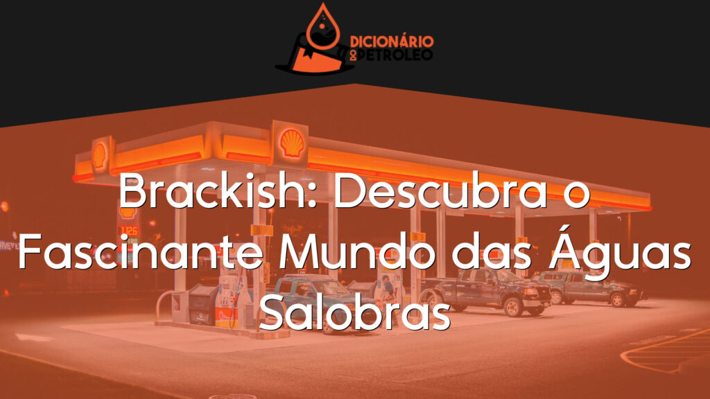 Brackish: Descubra o Fascinante Mundo das Águas Salobras