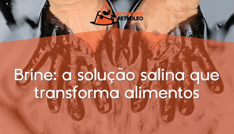 Brine: a solução salina que transforma alimentos