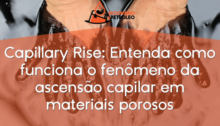 Capillary Rise: Entenda como funciona o fenômeno da ascensão capilar em materiais porosos