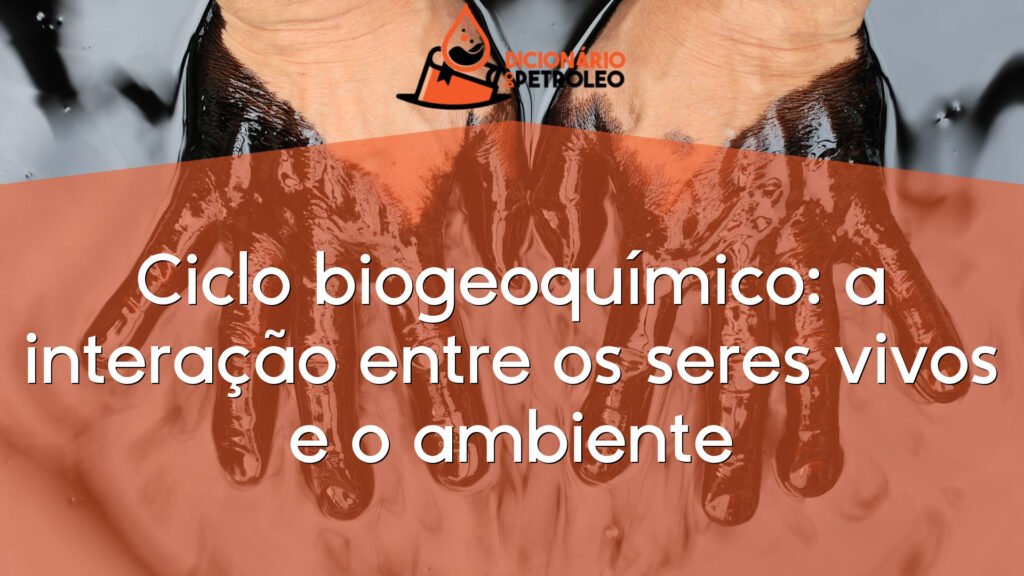 Ciclo biogeoquímico: a interação entre os seres vivos e o ambiente