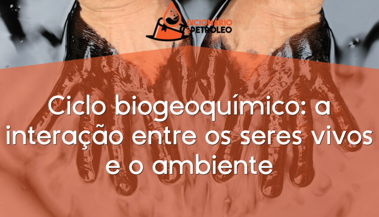Ciclo biogeoquímico: a interação entre os seres vivos e o ambiente