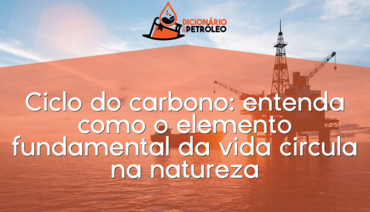 Ciclo do carbono: entenda como o elemento fundamental da vida circula na natureza