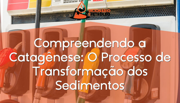 Compreendendo a Catagênese: O Processo de Transformação dos Sedimentos