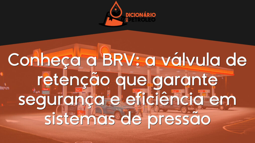 Conheça a BRV: a válvula de retenção que garante segurança e eficiência em sistemas de pressão