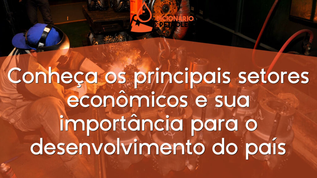 Conheça os principais setores econômicos e sua importância para o desenvolvimento do país