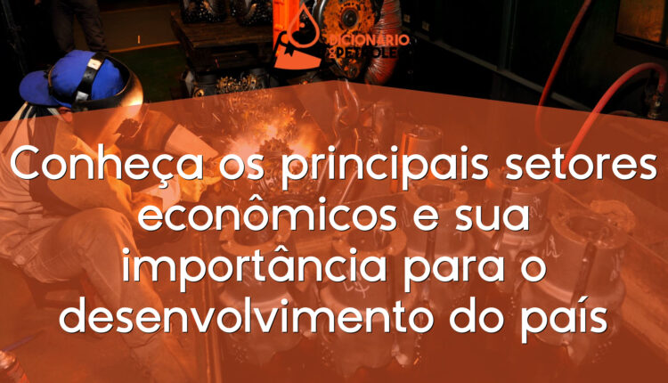 Conheça os principais setores econômicos e sua importância para o desenvolvimento do país
