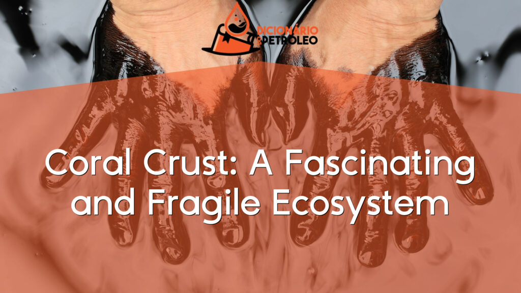 Coral Crush Layers