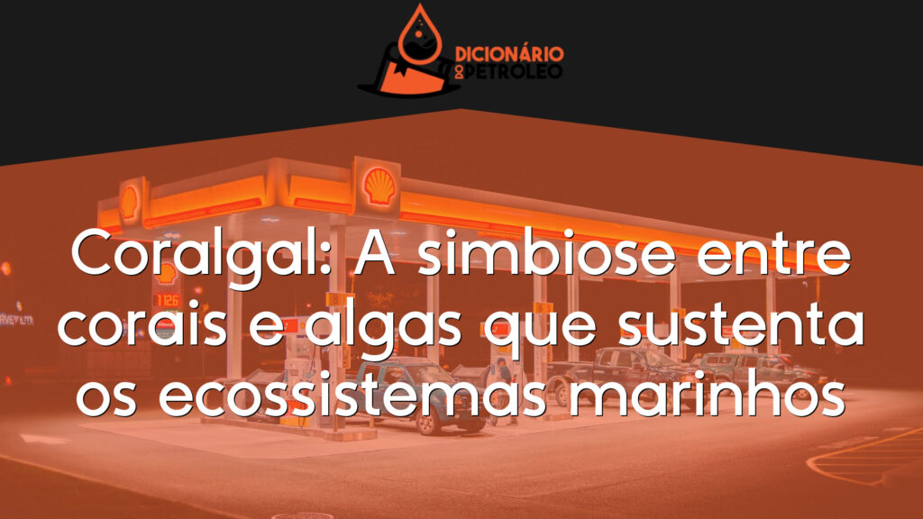 Coralgal: A simbiose entre corais e algas que sustenta os ecossistemas marinhos