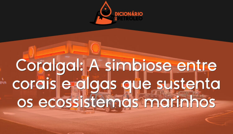 Coralgal: A simbiose entre corais e algas que sustenta os ecossistemas marinhos