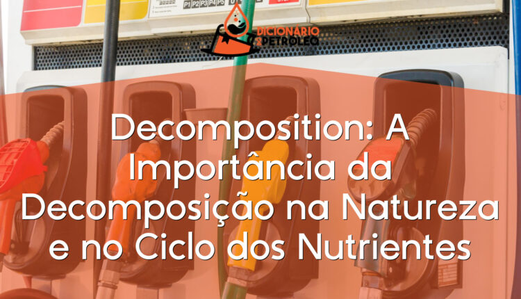 Decomposition: A Importância da Decomposição na Natureza e no Ciclo dos Nutrientes
