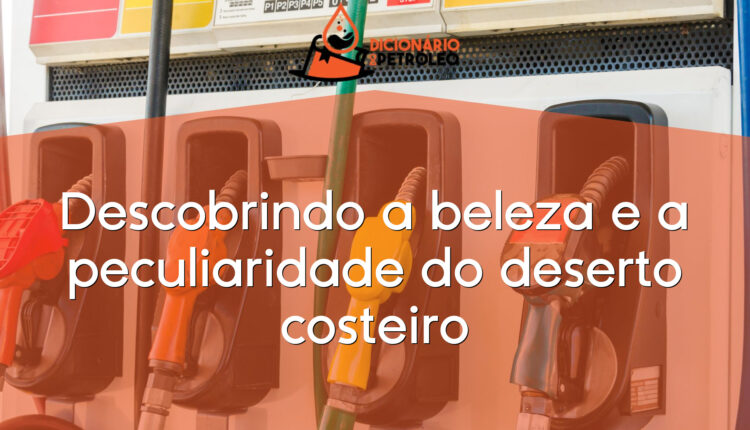 Descobrindo a beleza e a peculiaridade do deserto costeiro
