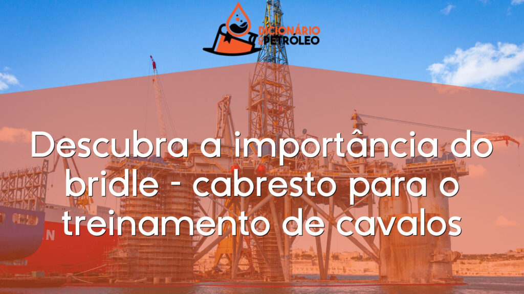 Descubra a importância do bridle – cabresto para o treinamento de cavalos