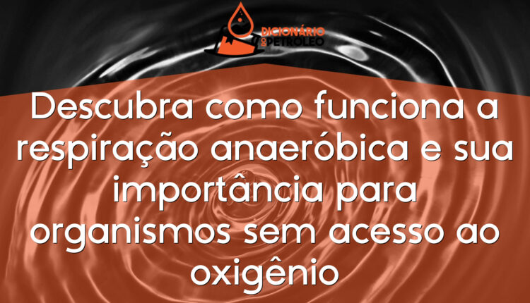 Descubra como funciona a respiração anaeróbica e sua importância para organismos sem acesso ao oxigênio