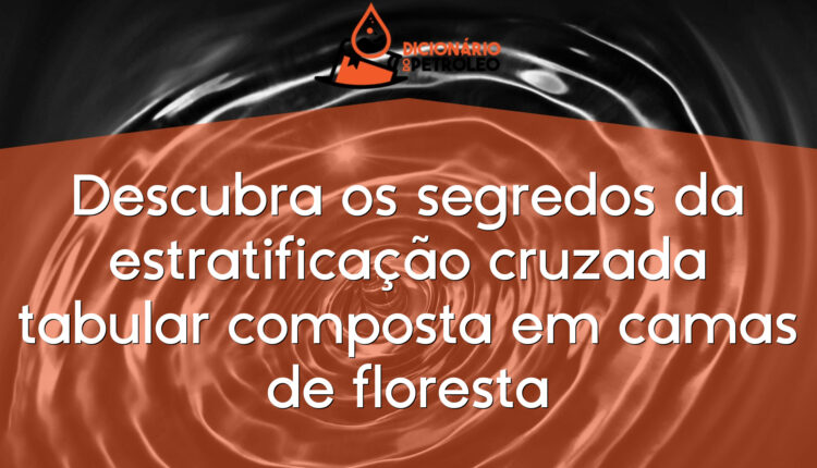 Descubra os segredos da estratificação cruzada tabular composta em camas de floresta