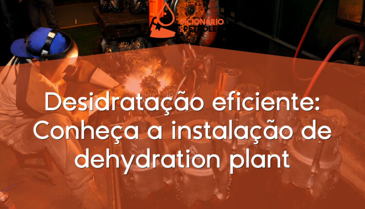 Desidratação eficiente: Conheça a instalação de dehydration plant