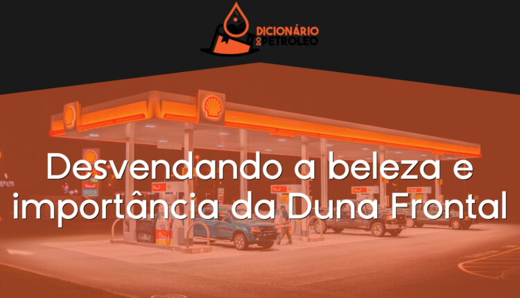 Desvendando a beleza e importância da Duna Frontal