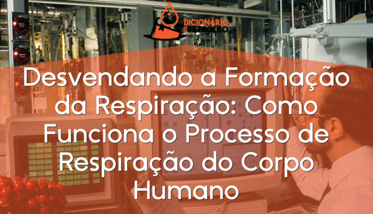 Desvendando a Formação da Respiração: Como Funciona o Processo de Respiração do Corpo Humano