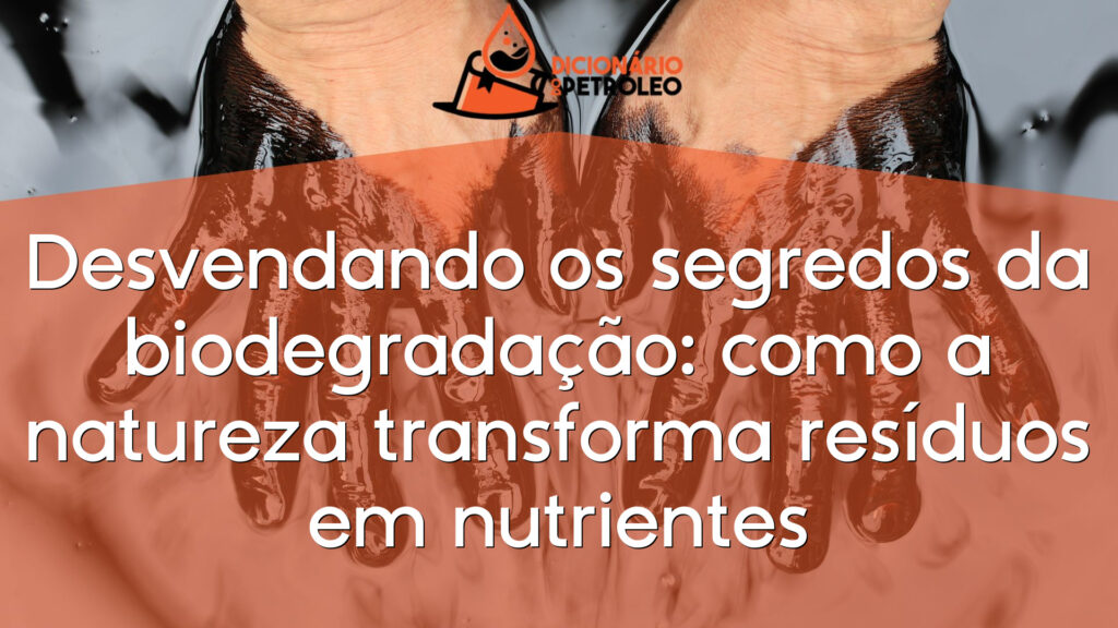 Desvendando os segredos da biodegradação: como a natureza transforma resíduos em nutrientes