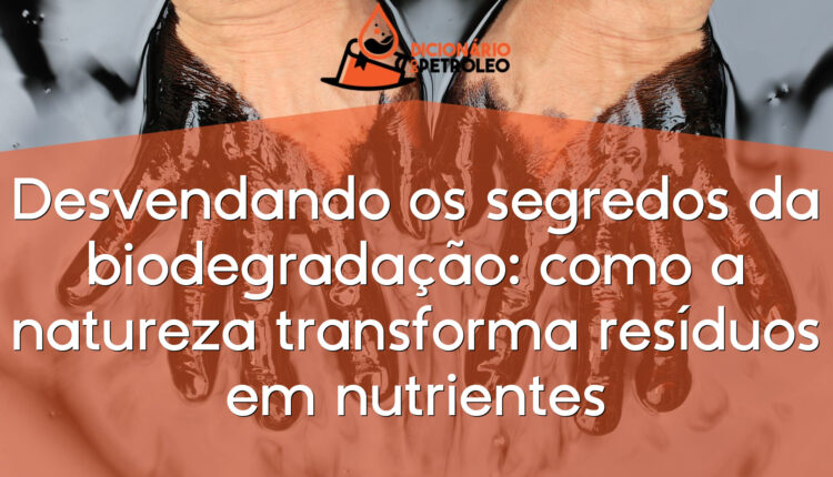 Desvendando os segredos da biodegradação: como a natureza transforma resíduos em nutrientes