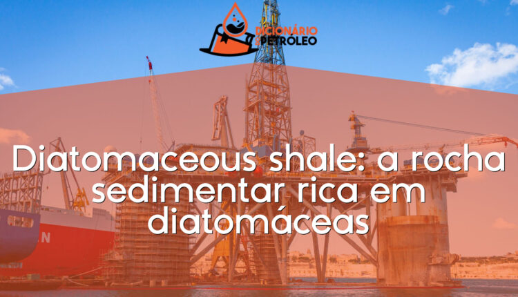 Diatomaceous shale: a rocha sedimentar rica em diatomáceas