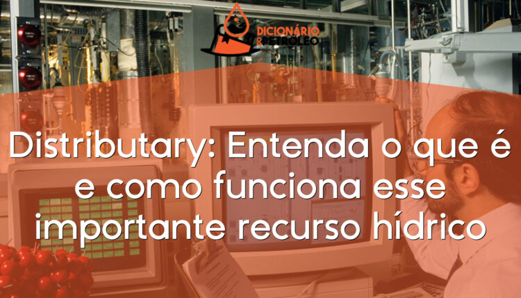 Distributary: Entenda o que é e como funciona esse importante recurso hídrico
