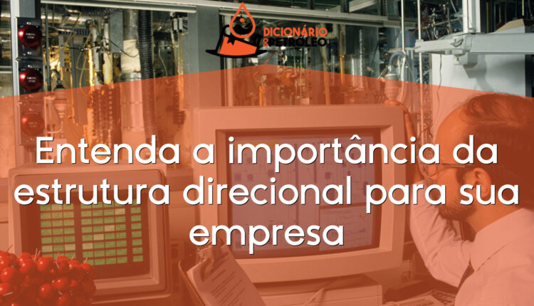 Entenda a importância da estrutura direcional para sua empresa