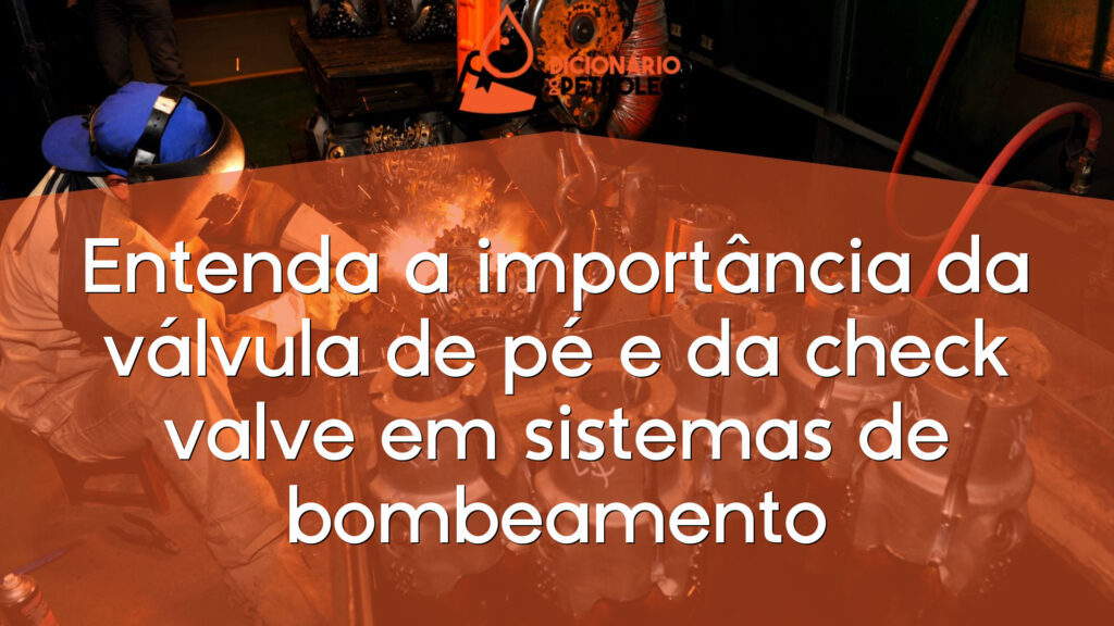 Entenda a importância da válvula de pé e da check valve em sistemas de bombeamento